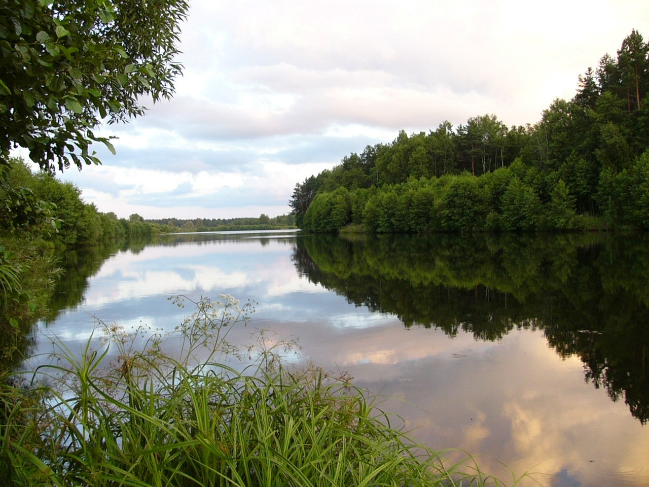 Озера и пруды Полесья - фото 1